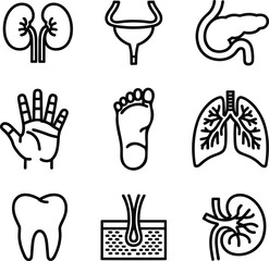 Here are the single-word, two-word, and three-word keywords, all combined into one line as requested, and also including the title