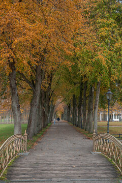 Fall colors in Schwerin Castle, Germany