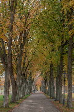 Fall colors in Schwerin Castle, Germany