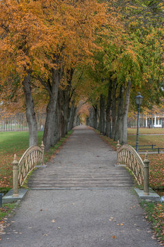 Fall colors in Schwerin Castle, Germany