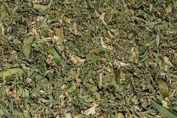Dried Crushed Green Leaves Texture Background