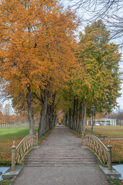 Fall colors in Schwerin Castle, Germany