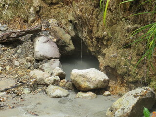 Sulpher Springs