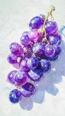 Juicy Cluster of Grapes: A close-up showcases a plump, succulent bunch of dark purple grapes, glistening with freshness, their vibrant hues contrasting against the plain background.