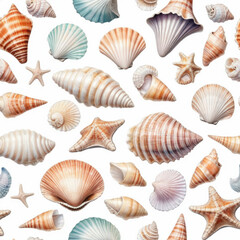 Assorted Shells and Starfish on White Background for Beach Theme