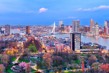 Rotterdam, Netherlands, City Skyline Over the Nieuwe Maas River 857