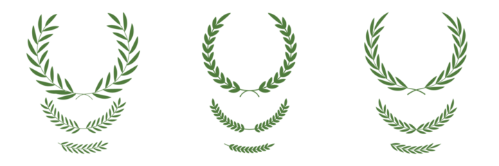 Decorative logo element. Tree branch wreath. Perfect circular wreath created with a branch of green leaves on a transparent background, ideal for graphic design projects. Floral wreath collection.