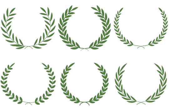 Decorative logo element. Perfect circular wreath created with a branch of green leaves on a transparent background, ideal for graphic design projects. Tree branch wreath. Floral wreath collection.