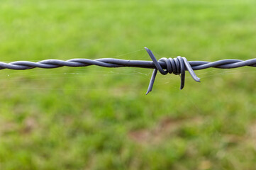 Stacheldrahtzaun