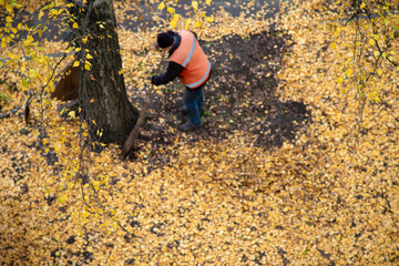  Blurred background, janitor in protective clothing sweeping fallen leaves in park with tree...