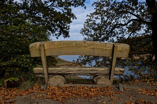 Bank im Wald am Beversee