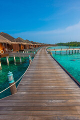 Tranquil closeup calm sea water waves with palm trees. Beautiful Cabins. Tropical island beach landscape exotic shore coast. Summer vacation, holiday amazing nature. Relax paradise, Maldives.