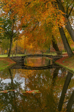 Fall colors in Schwerin Castle, Germany