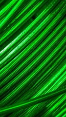 green copper wires with visible details. background or texture