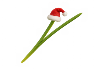 Green chives vegetable wearing santa claus hat representing christmas holiday season food and cooking