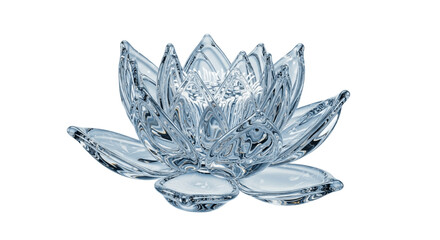 Close-Up of a Water-Based Lotus Flower on Transparent Background