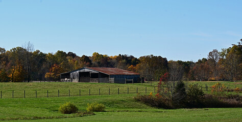 autumn landscape with barn