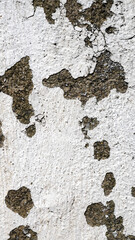 wall with old white paint peeling off