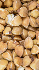 buckwheat with visible details. extura or background