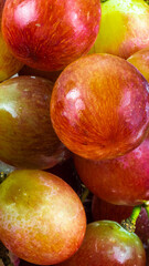 pink grapes a macro photo. textura or background