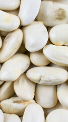 grains of white beans with visible details