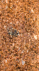 red sandstone cliffs macro photo .textura or background