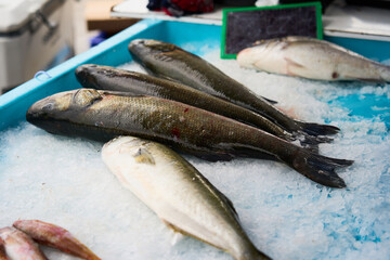 Fresh fish at the market on ice.