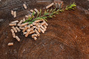 Overhead view of a small pile of wood pellets scattered on a textured tree stump, with a thin green leafy branch placed next to the pellets
