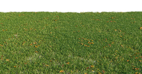 realistic lawn grass surface cutout isolated png on a transparent background for close-up and medium-range angles premium nature cutout
