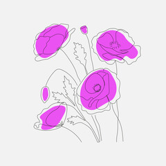 Linear drawing of purple poppies in a minimalist style. Modern line art, delicate flowers, flora, spring, botanical illustration, style, elegance.