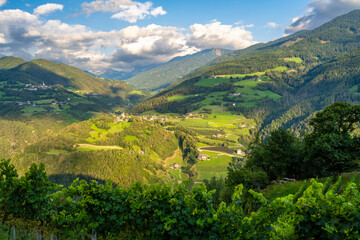 view on vineyards of Alto Adige during sunset near Brixen in Italy