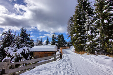 traditional wooden chalet or cabin nestled on a snowy slope, in the Austrian Alps