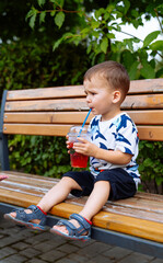 Little boy sipping juice on a park bench. A toddler sits on a wooden bench and drinks a red...