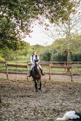 A young beautiful woman jockey is preparing for a show jumping competition. A woman rider rides a brown racehorse.