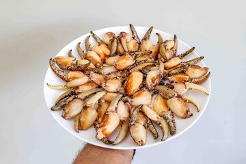 Appetizing Plate of Freshly Cooked Crab Claws