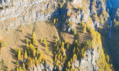 Aerial shot of a rugged cliff face carved by rock and dotted with a golden larch forest in Bucegi Mountains, Romania