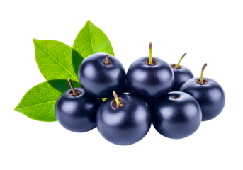 Pile of shiny sloe berries with green leaves isolated on transparent background