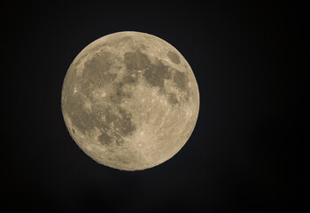 Mond