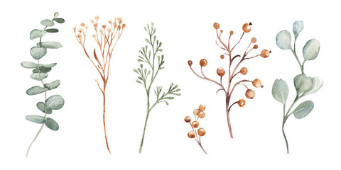 Watercolor winter botanical set with eucalyptus, dried grass, yellow Tansy, wild berries and delicate branches. Hand painted isolated elements perfect for Christmas design, wedding decor, packaging or