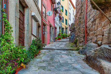 Steep cobblestone alley with colorful houses and green potted plants in Porto city, Portugal. Medieval street in old town of Oporto. Travel and tourism in Europe. Portuguese architecture © samael334