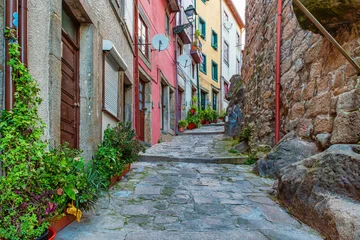 Fotobehang Smal steegje Steep cobblestone alley with colorful houses and green potted plants in Porto city, Portugal. Medieval street in old town of Oporto. Travel and tourism in Europe. Portuguese architecture  © samael334