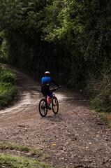 Fototapeta premium Ciclista en camino rural rodeado de naturaleza verde