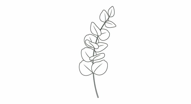 Elegant Eucalyptus Branch: A minimalist sketch of a eucalyptus branch with delicate leaves, showcasing the beauty of simplicity and the natural world.