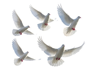 Obraz premium Five Peaceful Doves in Mid-Flight with Cloudy Horizon PNG