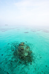 Tranquil closeup calm sea water waves with palm trees. Beautiful Panorama, Tropical island beach landscape exotic shore coast. Summer vacation, holiday amazing nature. Relax paradise, Maldives.