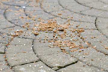 Sand and salt scattered across pavement, winter safety measures for pedestrian walkway traction improvement. Paving slabs covered with sand and salt mixture, prevent accidents and improve safety