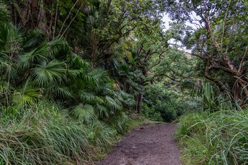 Moanalua Valley Trail , Honolulu, Oahu, Hawaii. Moanalua Stream. Older alluvium. Sand and gravel	
