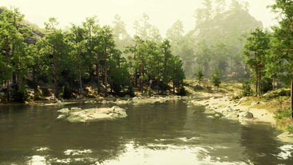 A tranquil river flows gently through a vibrant forest. Sunlight filters through lush trees, creating a peaceful atmosphere. A rocky shore adds charm to this idyllic natural scene.