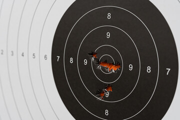 Bullet holes clustered in the center bullseye of a paper shooting target. Marksmanship, precision, and accuracy concept.