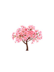 Obraz premium Beautiful Pink Cherry Blossom Tree Isolated on a Black Background